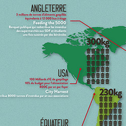 Food Waste - Poster